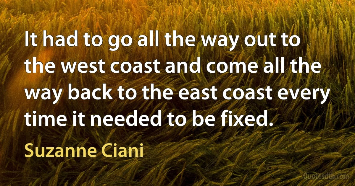 It had to go all the way out to the west coast and come all the way back to the east coast every time it needed to be fixed. (Suzanne Ciani)