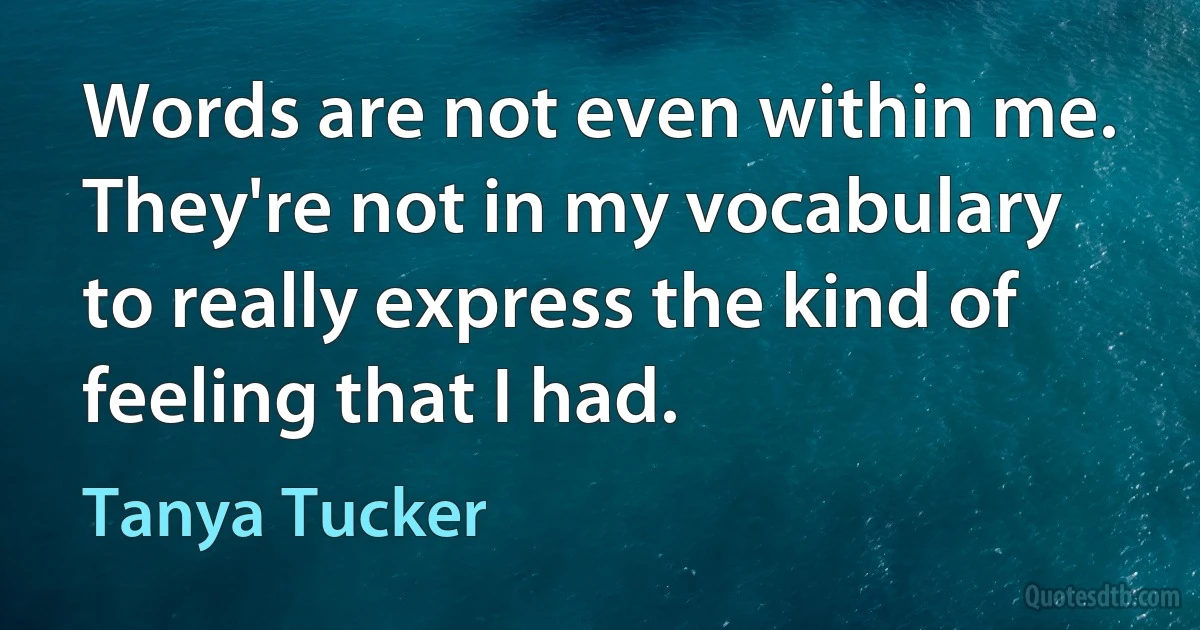 Words are not even within me. They're not in my vocabulary to really express the kind of feeling that I had. (Tanya Tucker)