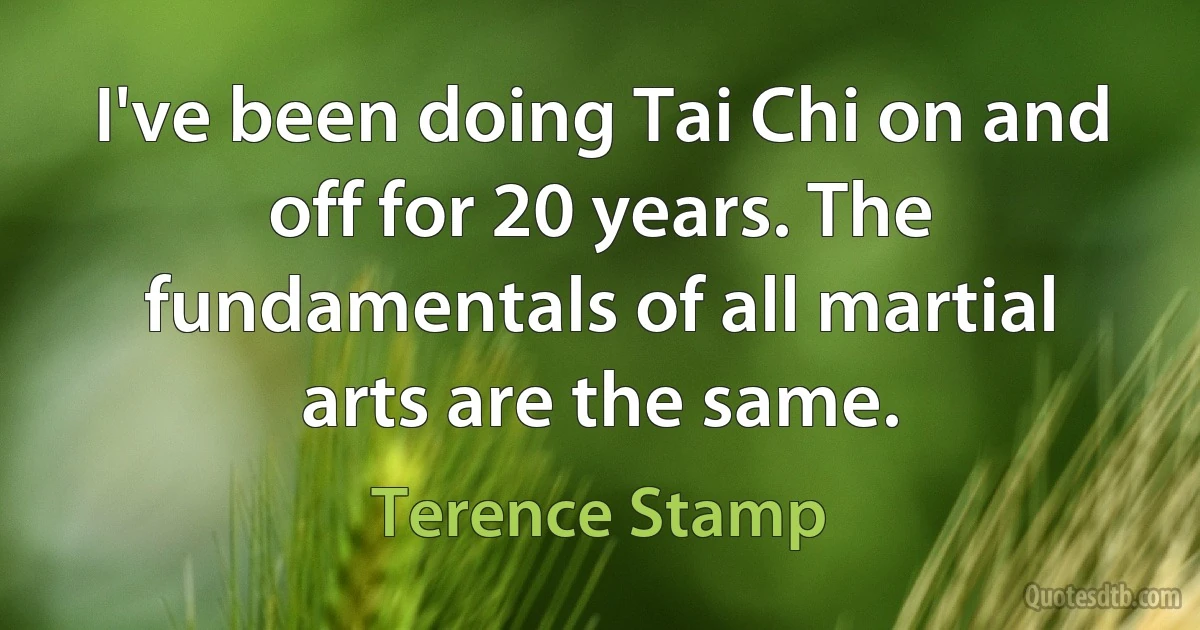 I've been doing Tai Chi on and off for 20 years. The fundamentals of all martial arts are the same. (Terence Stamp)