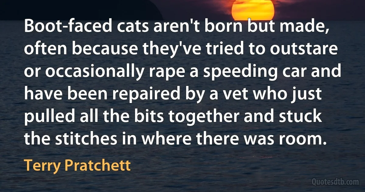 Boot-faced cats aren't born but made, often because they've tried to outstare or occasionally rape a speeding car and have been repaired by a vet who just pulled all the bits together and stuck the stitches in where there was room. (Terry Pratchett)