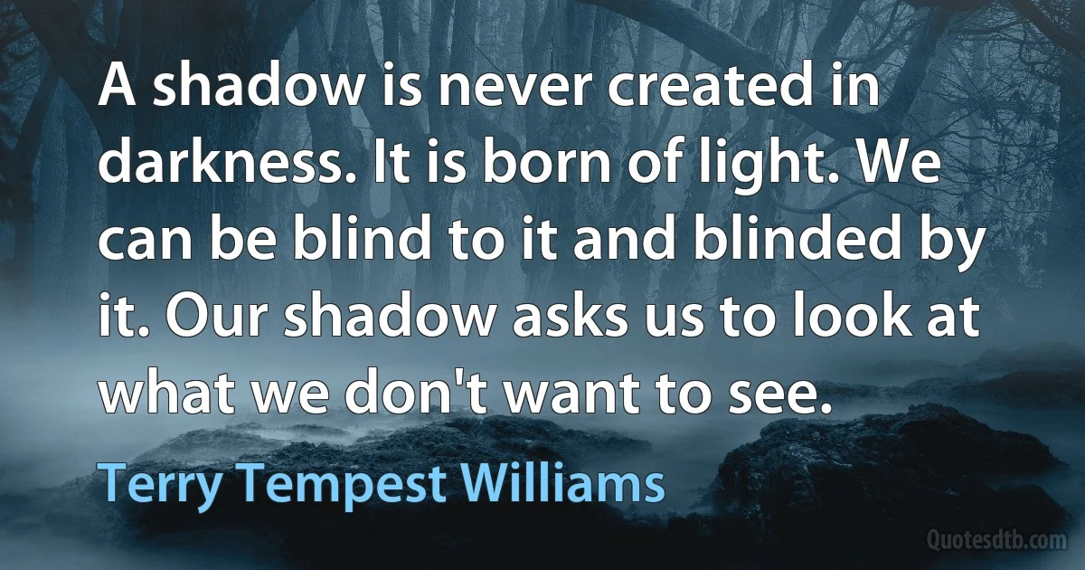 A shadow is never created in darkness. It is born of light. We can be blind to it and blinded by it. Our shadow asks us to look at what we don't want to see. (Terry Tempest Williams)