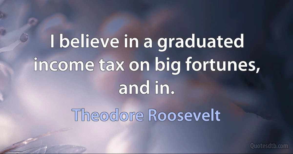 I believe in a graduated income tax on big fortunes, and in. (Theodore Roosevelt)