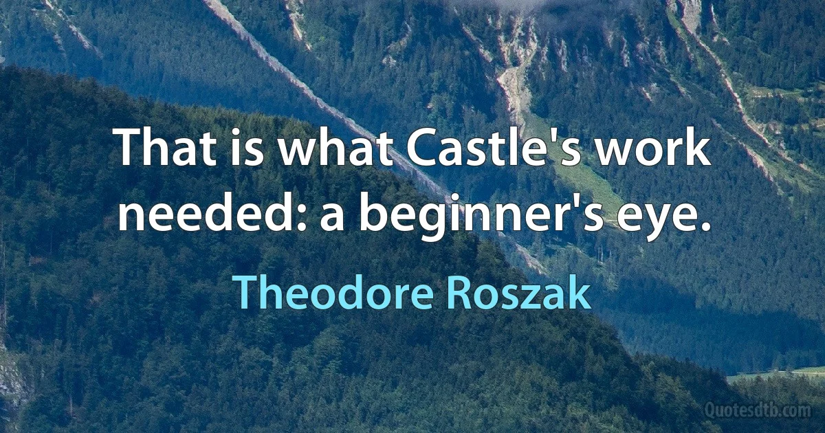 That is what Castle's work needed: a beginner's eye. (Theodore Roszak)