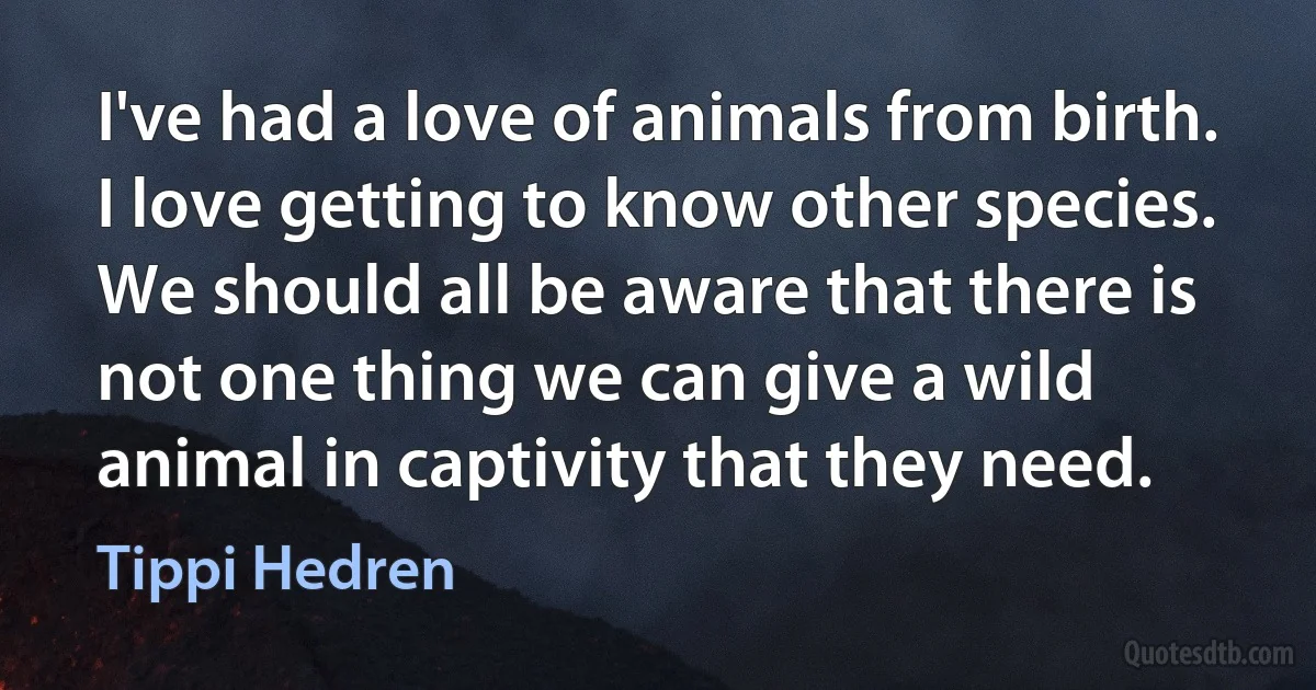 I've had a love of animals from birth. I love getting to know other species. We should all be aware that there is not one thing we can give a wild animal in captivity that they need. (Tippi Hedren)