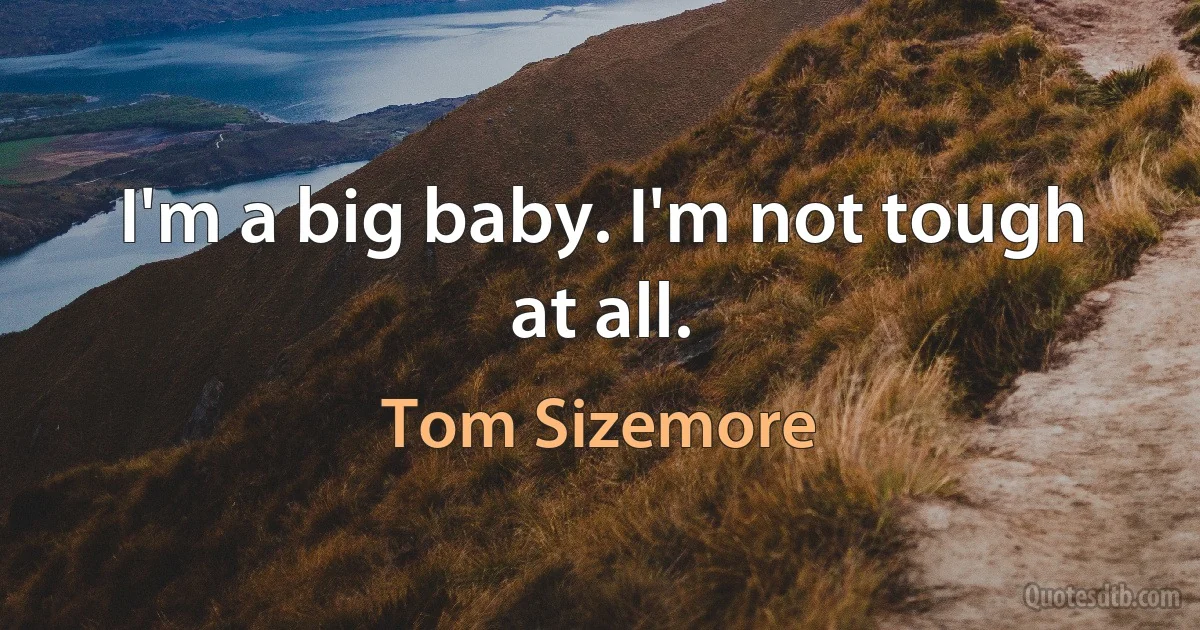 I'm a big baby. I'm not tough at all. (Tom Sizemore)