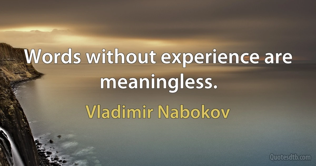 Words without experience are meaningless. (Vladimir Nabokov)