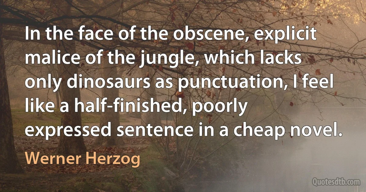 In the face of the obscene, explicit malice of the jungle, which lacks only dinosaurs as punctuation, I feel like a half-finished, poorly expressed sentence in a cheap novel. (Werner Herzog)