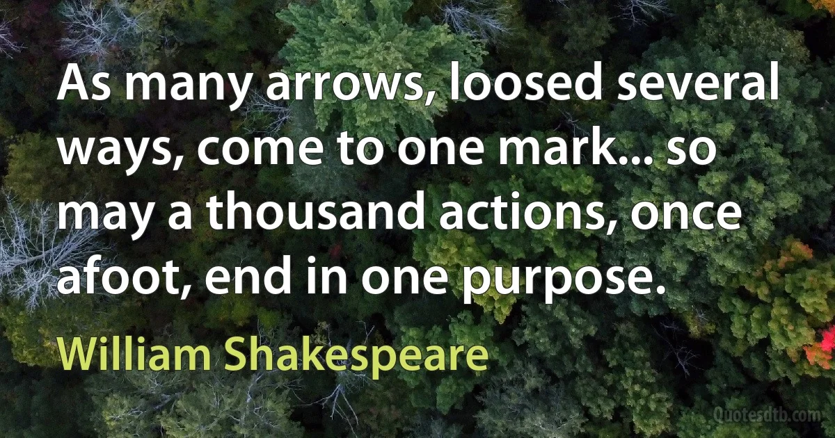 As many arrows, loosed several ways, come to one mark... so may a thousand actions, once afoot, end in one purpose. (William Shakespeare)