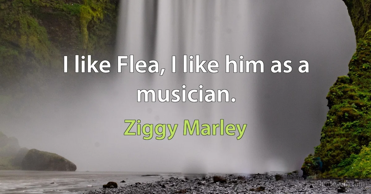 I like Flea, I like him as a musician. (Ziggy Marley)