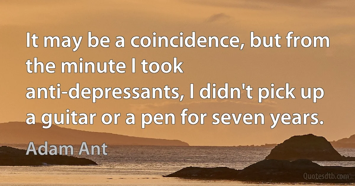 It may be a coincidence, but from the minute I took anti-depressants, I didn't pick up a guitar or a pen for seven years. (Adam Ant)