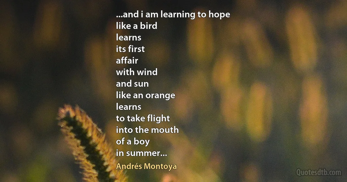 ...and i am learning to hope
like a bird
learns
its first
affair
with wind
and sun
like an orange
learns
to take flight
into the mouth
of a boy
in summer... (Andrés Montoya)