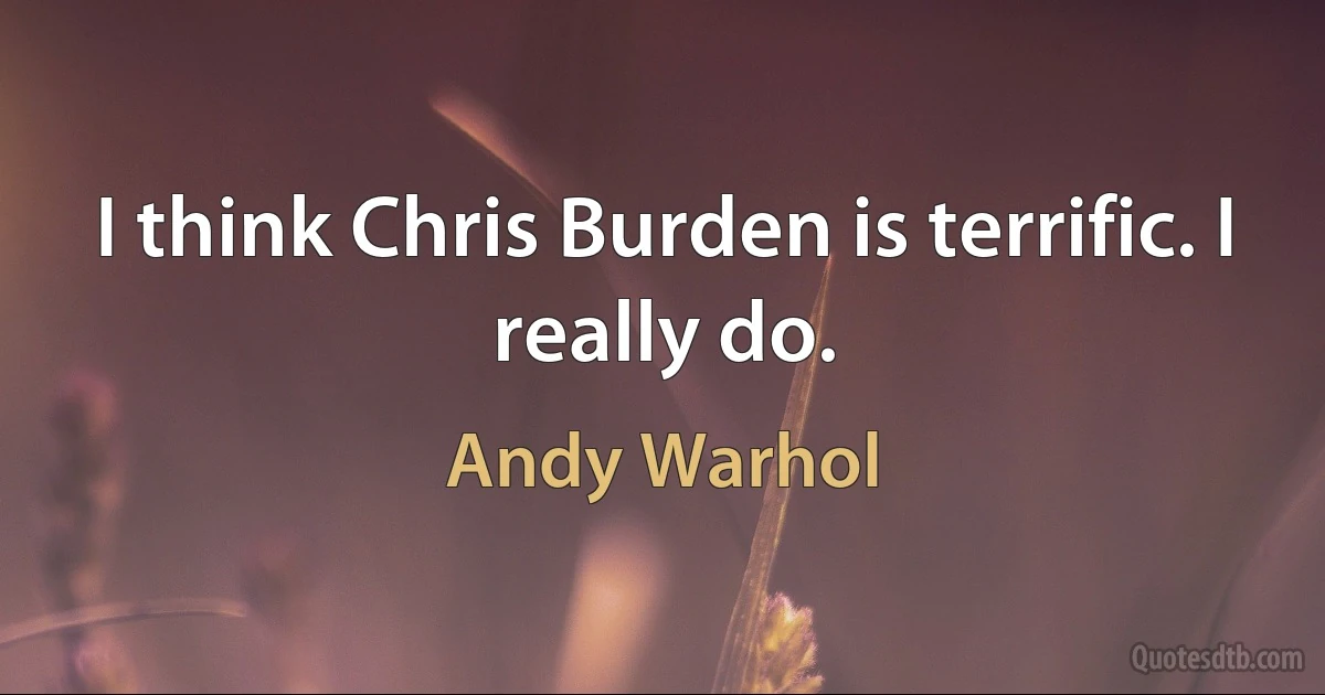 I think Chris Burden is terrific. I really do. (Andy Warhol)