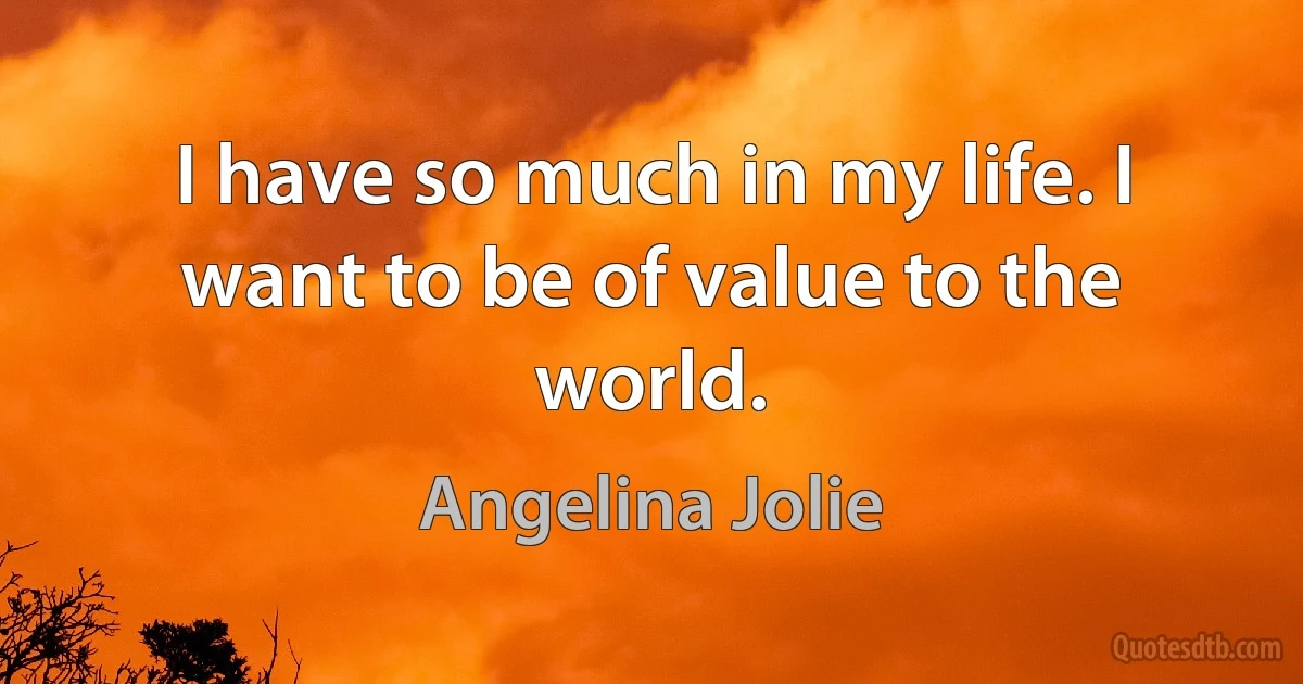 I have so much in my life. I want to be of value to the world. (Angelina Jolie)