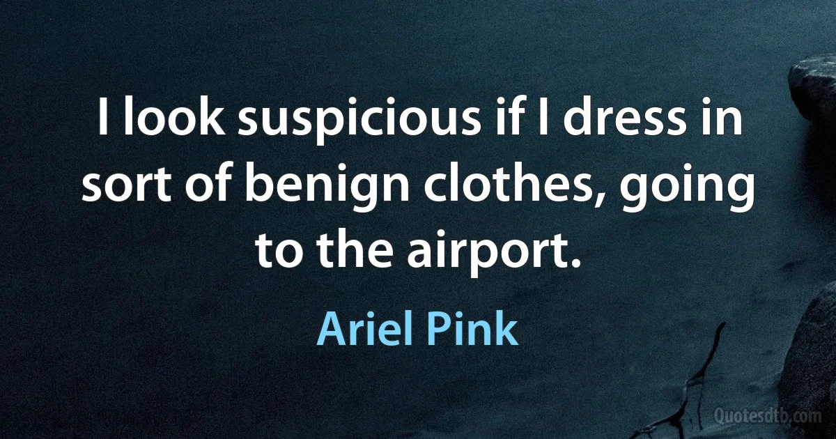 I look suspicious if I dress in sort of benign clothes, going to the airport. (Ariel Pink)