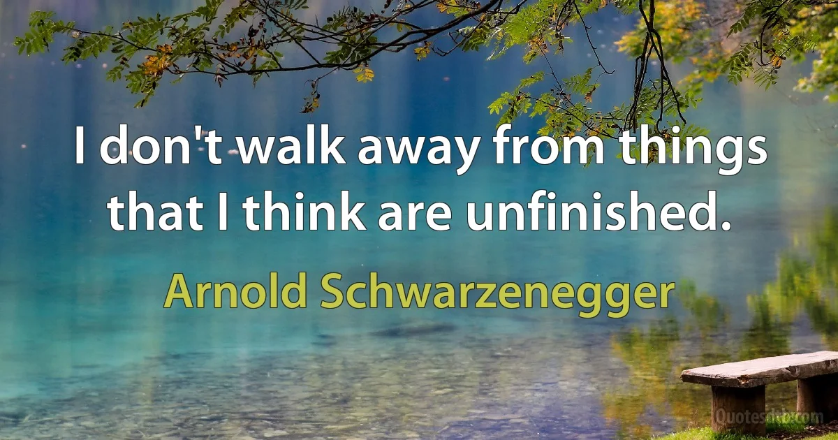 I don't walk away from things that I think are unfinished. (Arnold Schwarzenegger)