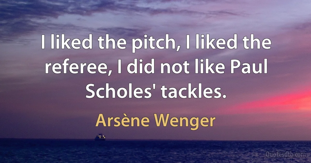 I liked the pitch, I liked the referee, I did not like Paul Scholes' tackles. (Arsène Wenger)