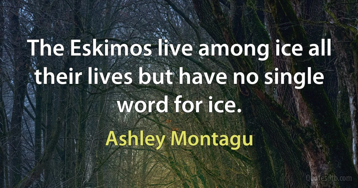 The Eskimos live among ice all their lives but have no single word for ice. (Ashley Montagu)