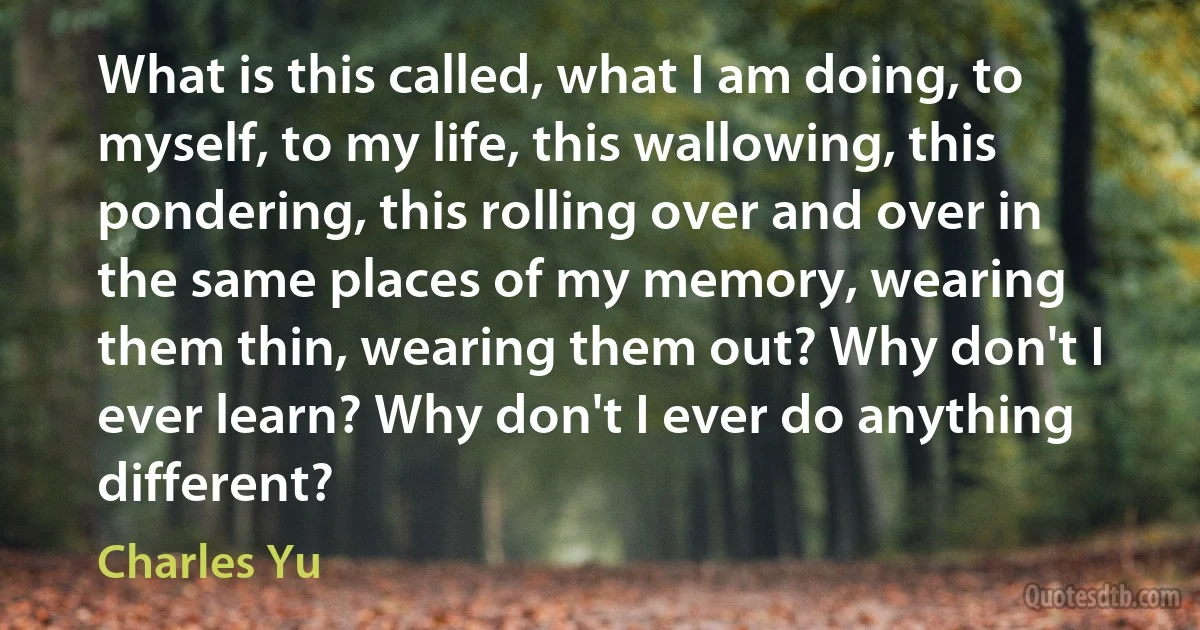 What is this called, what I am doing, to myself, to my life, this wallowing, this pondering, this rolling over and over in the same places of my memory, wearing them thin, wearing them out? Why don't I ever learn? Why don't I ever do anything different? (Charles Yu)