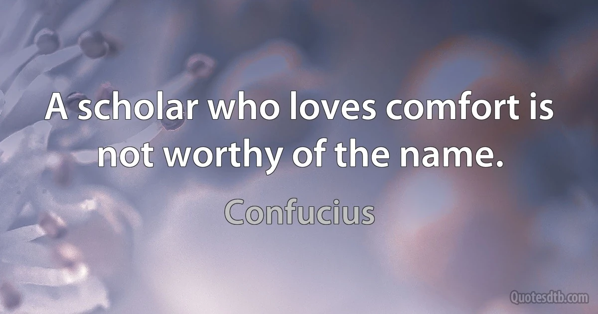 A scholar who loves comfort is not worthy of the name. (Confucius)