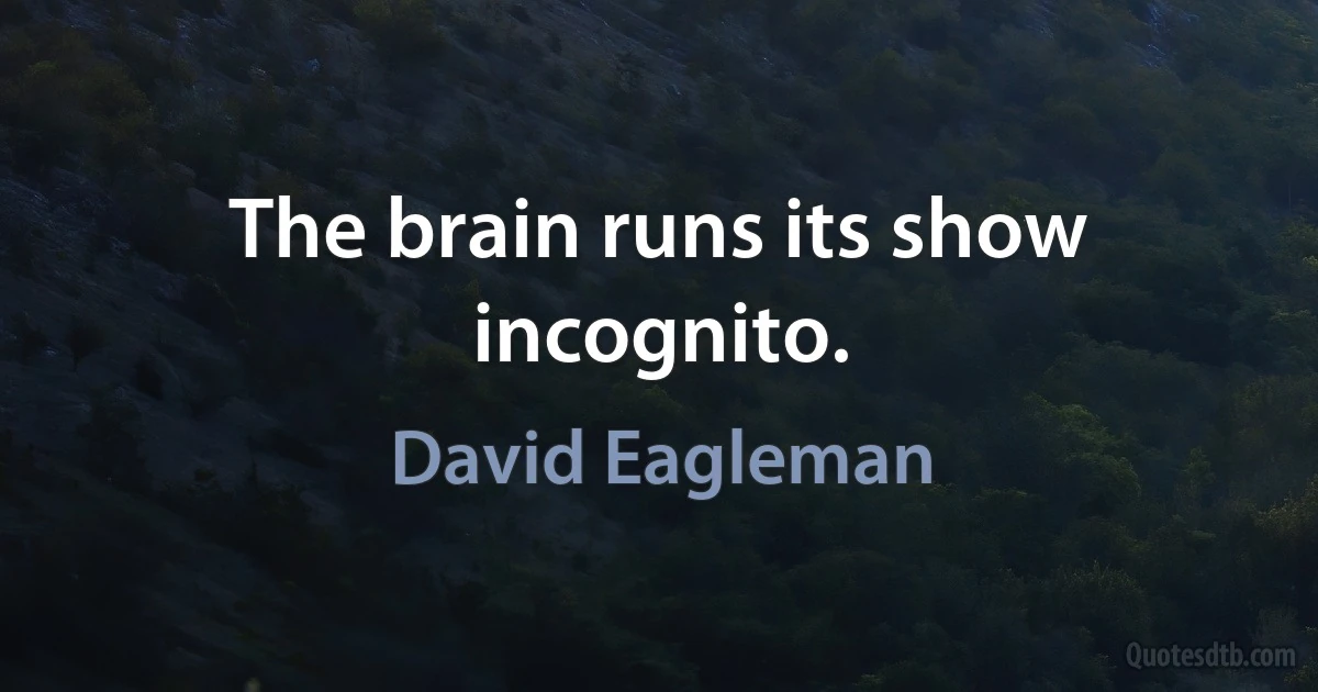 The brain runs its show incognito. (David Eagleman)