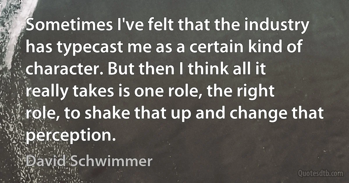 Sometimes I've felt that the industry has typecast me as a certain kind of character. But then I think all it really takes is one role, the right role, to shake that up and change that perception. (David Schwimmer)