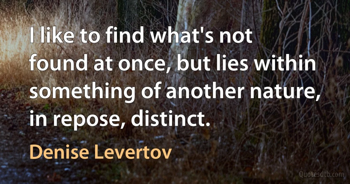 I like to find what's not found at once, but lies within something of another nature, in repose, distinct. (Denise Levertov)