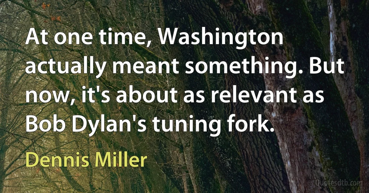 At one time, Washington actually meant something. But now, it's about as relevant as Bob Dylan's tuning fork. (Dennis Miller)