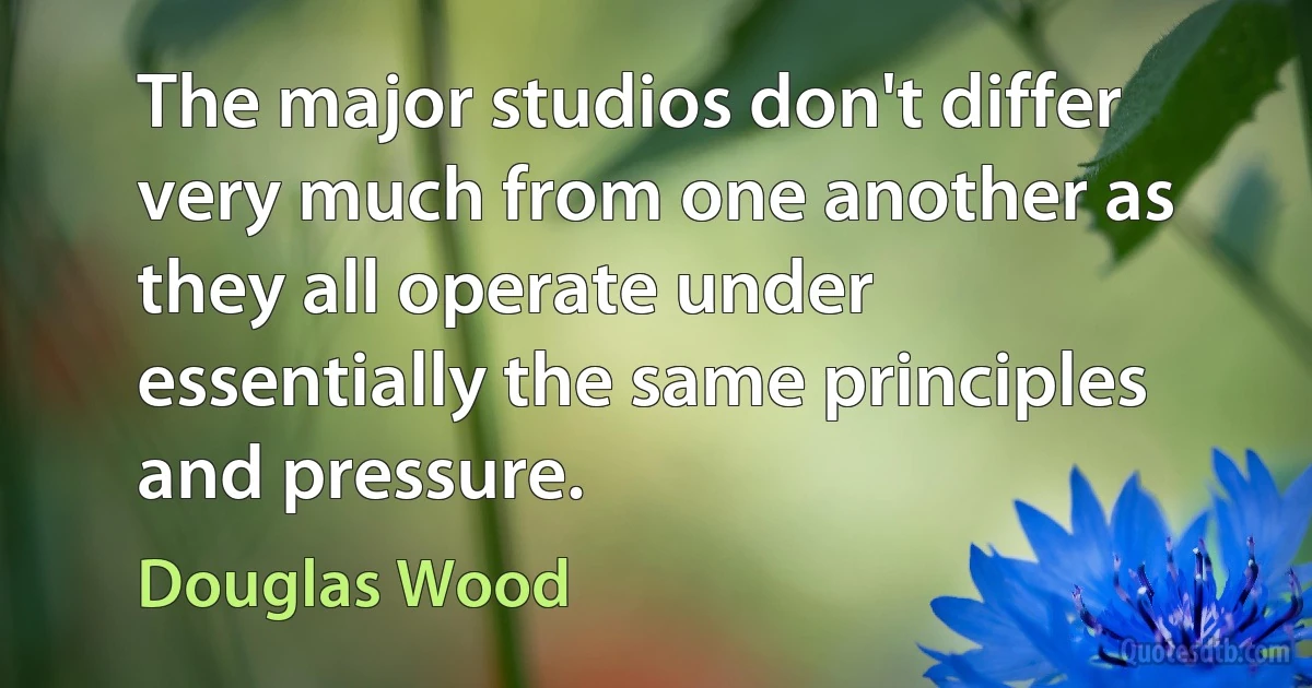 The major studios don't differ very much from one another as they all operate under essentially the same principles and pressure. (Douglas Wood)