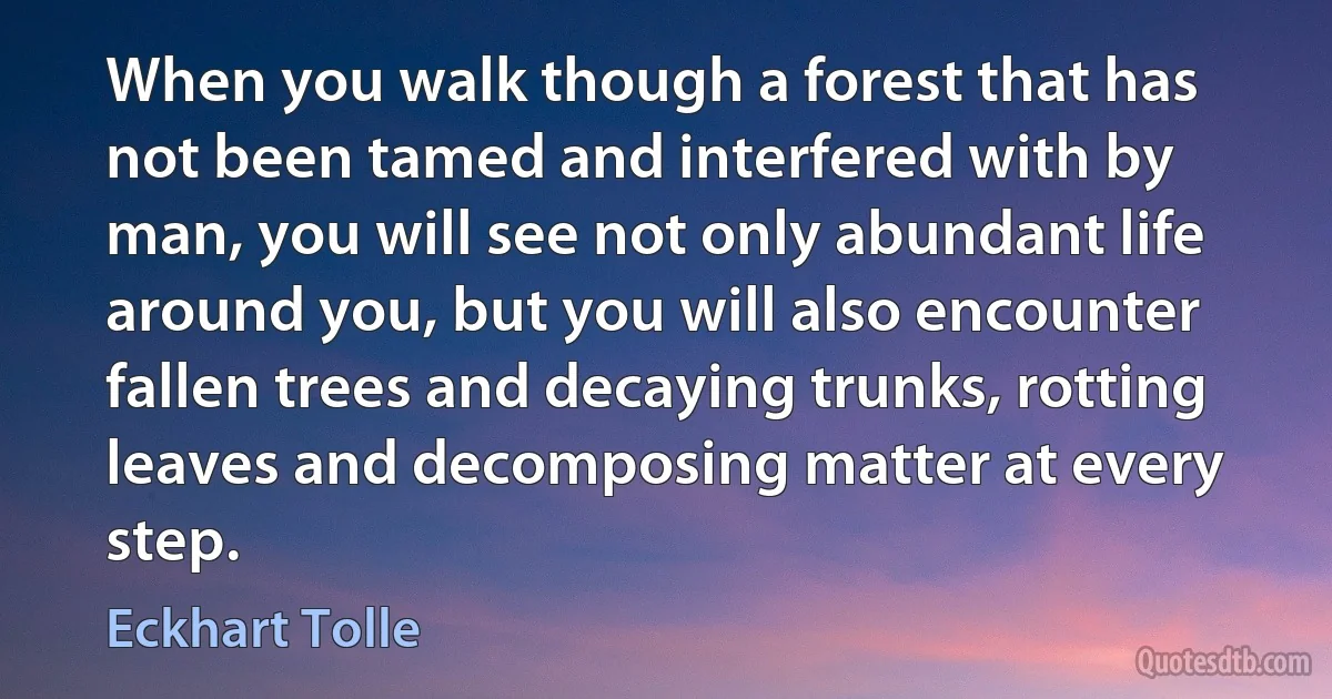 When you walk though a forest that has not been tamed and interfered with by man, you will see not only abundant life around you, but you will also encounter fallen trees and decaying trunks, rotting leaves and decomposing matter at every step. (Eckhart Tolle)