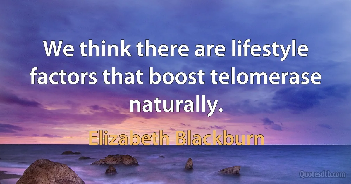 We think there are lifestyle factors that boost telomerase naturally. (Elizabeth Blackburn)