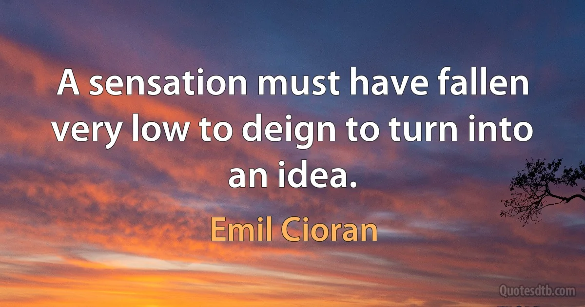 A sensation must have fallen very low to deign to turn into an idea. (Emil Cioran)