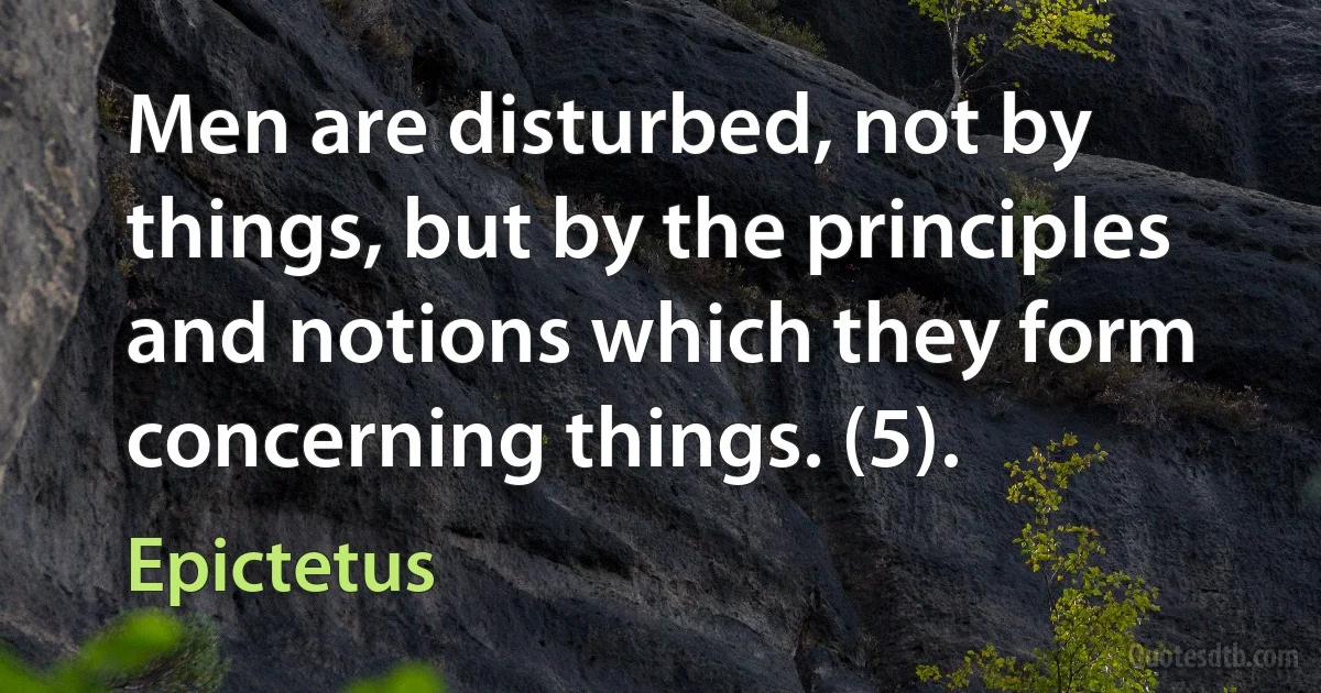 Men are disturbed, not by things, but by the principles and notions which they form concerning things. (5). (Epictetus)