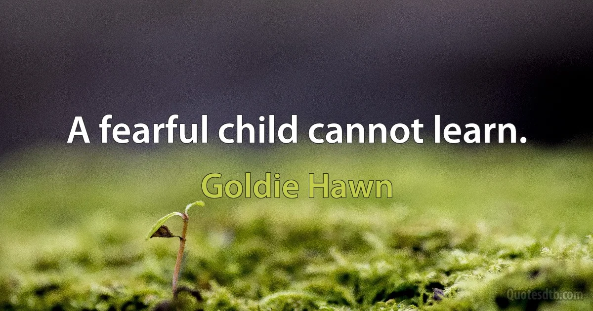 A fearful child cannot learn. (Goldie Hawn)