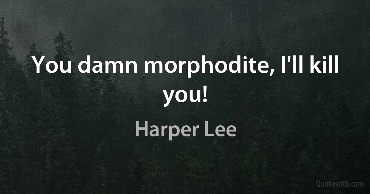 You damn morphodite, I'll kill you! (Harper Lee)