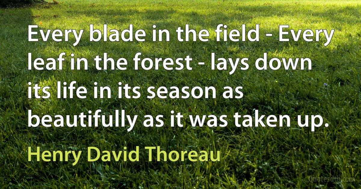 Every blade in the field - Every leaf in the forest - lays down its life in its season as beautifully as it was taken up. (Henry David Thoreau)