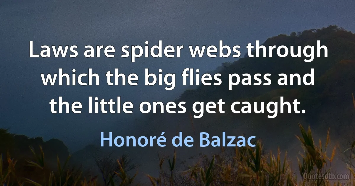 Laws are spider webs through which the big flies pass and the little ones get caught. (Honoré de Balzac)