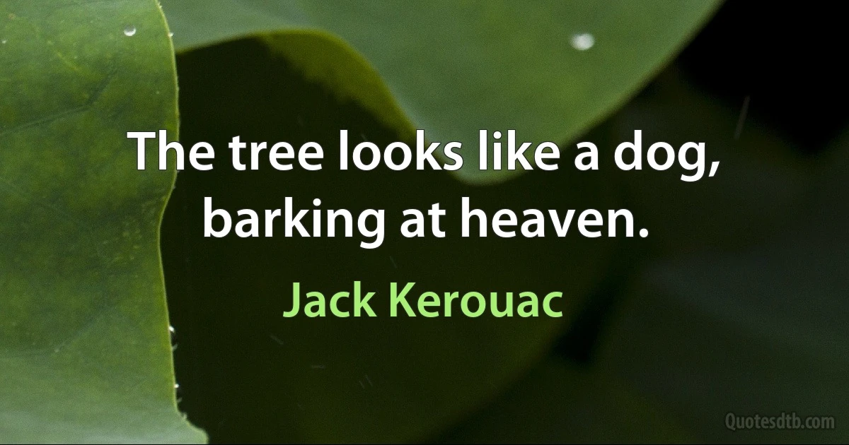 The tree looks like a dog, barking at heaven. (Jack Kerouac)