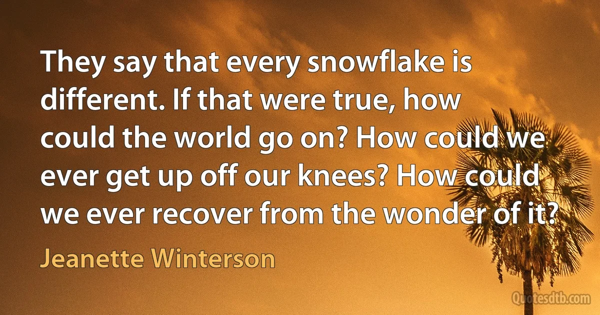 They say that every snowflake is different. If that were true, how could the world go on? How could we ever get up off our knees? How could we ever recover from the wonder of it? (Jeanette Winterson)