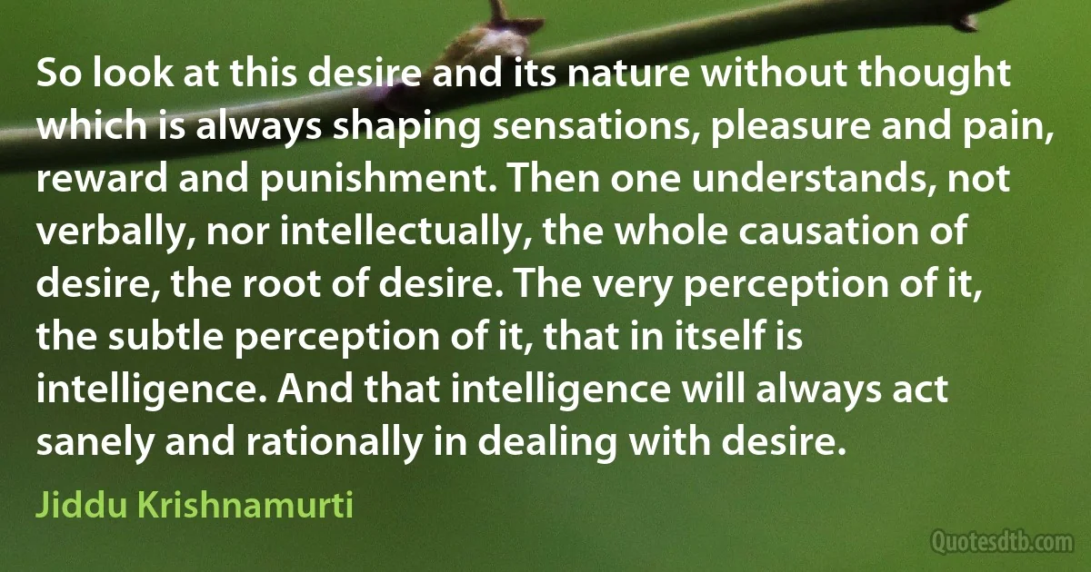 So look at this desire and its nature without thought which is always shaping sensations, pleasure and pain, reward and punishment. Then one understands, not verbally, nor intellectually, the whole causation of desire, the root of desire. The very perception of it, the subtle perception of it, that in itself is intelligence. And that intelligence will always act sanely and rationally in dealing with desire. (Jiddu Krishnamurti)