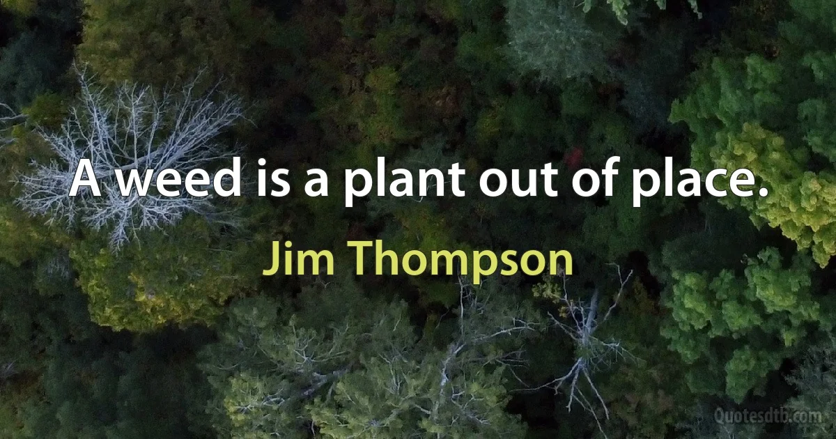 A weed is a plant out of place. (Jim Thompson)