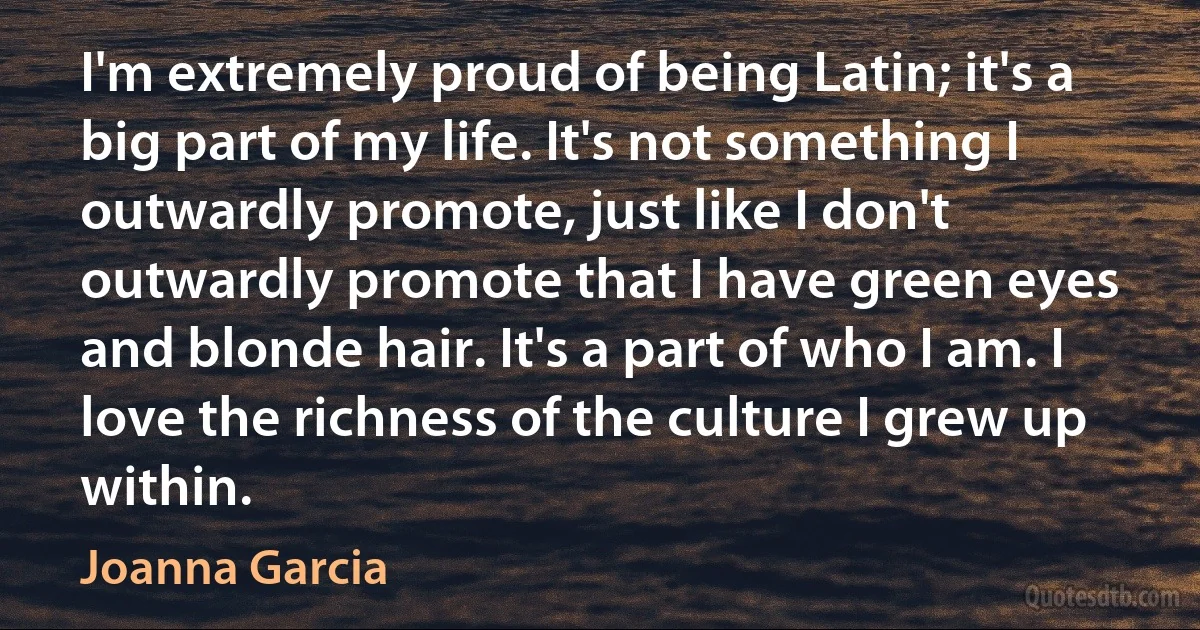 I'm extremely proud of being Latin; it's a big part of my life. It's not something I outwardly promote, just like I don't outwardly promote that I have green eyes and blonde hair. It's a part of who I am. I love the richness of the culture I grew up within. (Joanna Garcia)