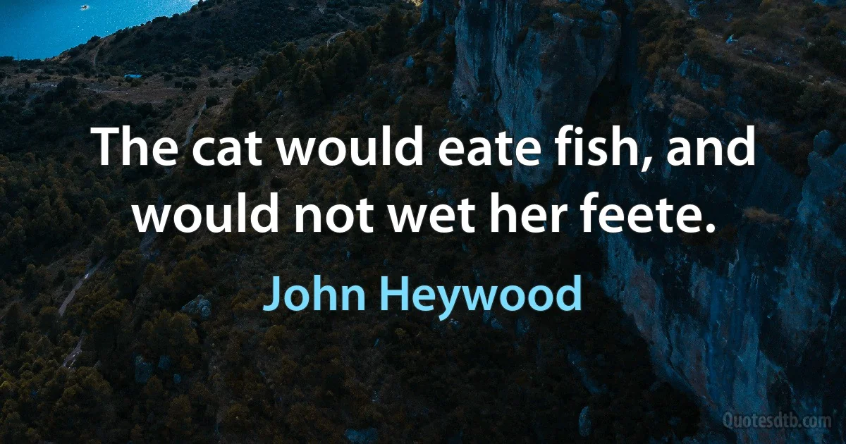 The cat would eate fish, and would not wet her feete. (John Heywood)