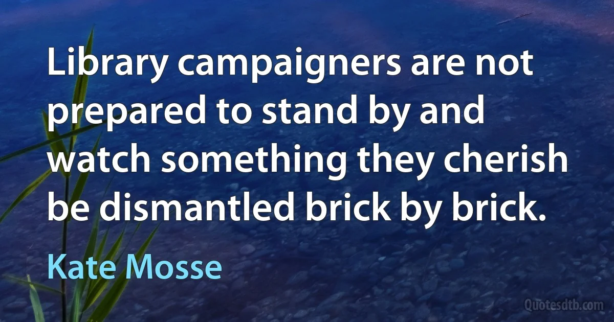 Library campaigners are not prepared to stand by and watch something they cherish be dismantled brick by brick. (Kate Mosse)