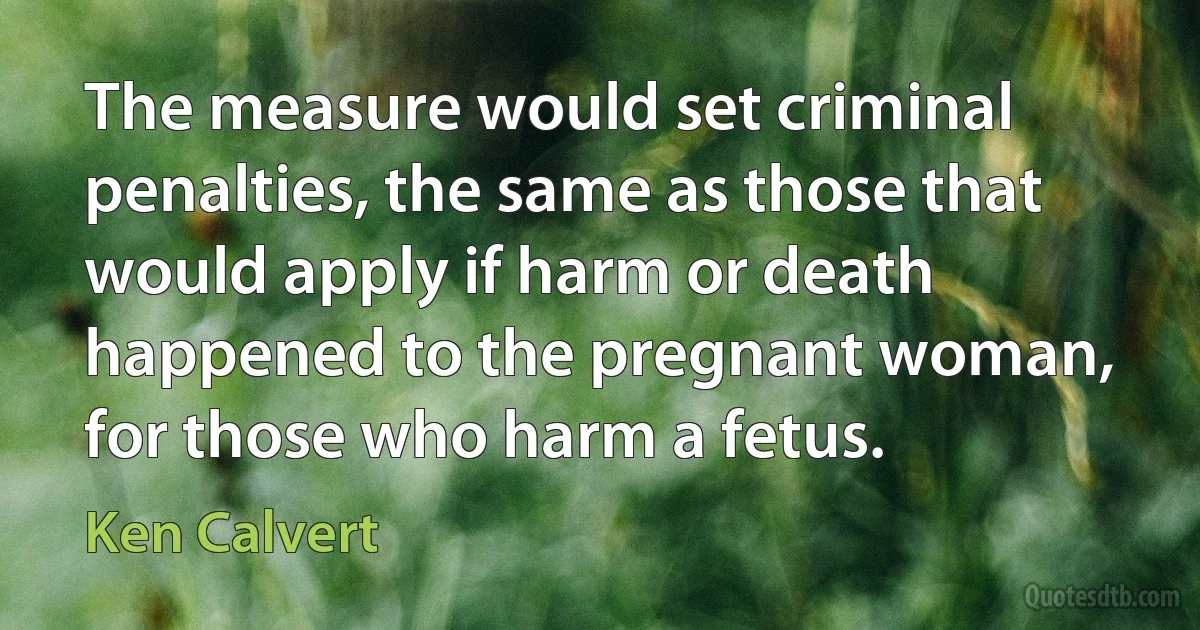 The measure would set criminal penalties, the same as those that would apply if harm or death happened to the pregnant woman, for those who harm a fetus. (Ken Calvert)