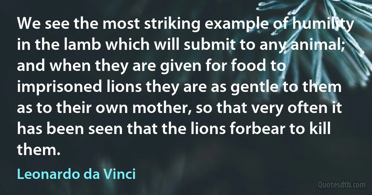 We see the most striking example of humility in the lamb which will submit to any animal; and when they are given for food to imprisoned lions they are as gentle to them as to their own mother, so that very often it has been seen that the lions forbear to kill them. (Leonardo da Vinci)