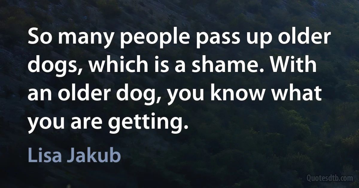 So many people pass up older dogs, which is a shame. With an older dog, you know what you are getting. (Lisa Jakub)