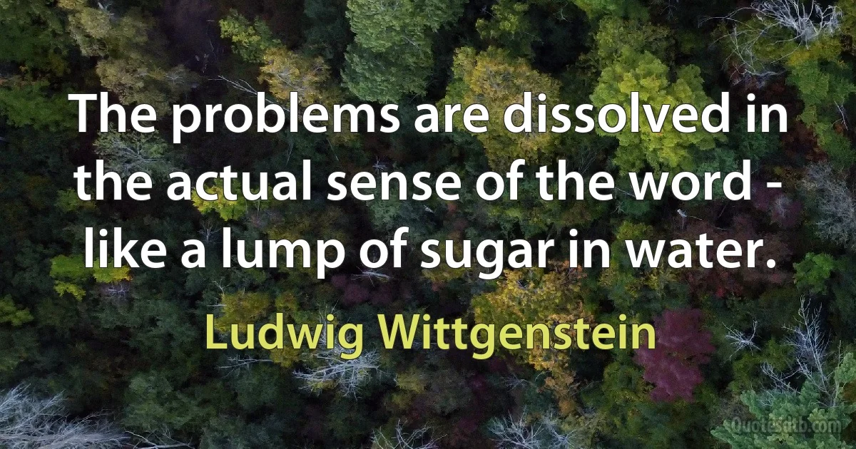 The problems are dissolved in the actual sense of the word - like a lump of sugar in water. (Ludwig Wittgenstein)