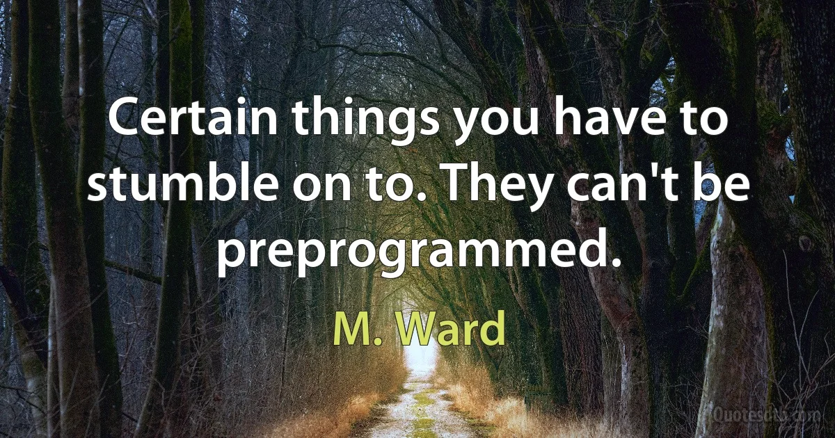 Certain things you have to stumble on to. They can't be preprogrammed. (M. Ward)