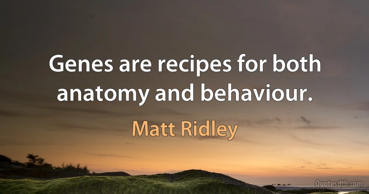 Genes are recipes for both anatomy and behaviour. (Matt Ridley)