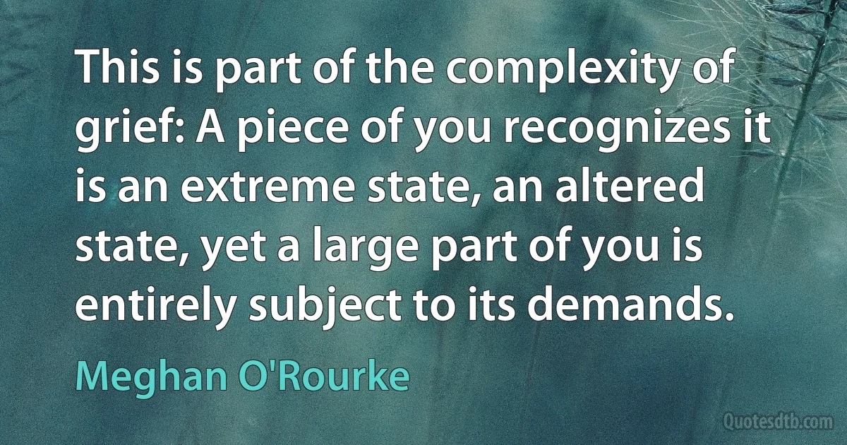 This is part of the complexity of grief: A piece of you recognizes it is an extreme state, an altered state, yet a large part of you is entirely subject to its demands. (Meghan O'Rourke)